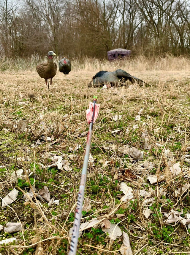 Bowhunting Longbeards: Proven Tips to Increase Success on Tough Spring Turkeys - Pine Ridge Archery