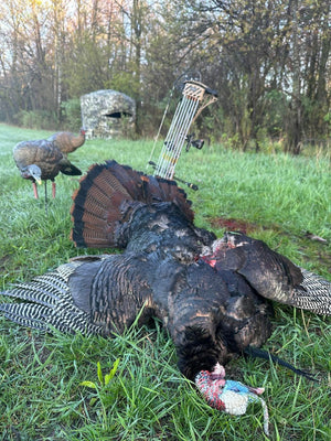 Bowhunting Spring Turkeys: Proven Tips to Beat Their Eyes and Make the Shot - Pine Ridge Archery