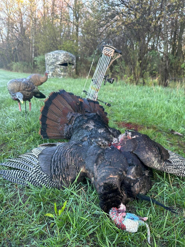 Bowhunting Spring Turkeys: Proven Tips to Beat Their Eyes and Make the Shot - Pine Ridge Archery